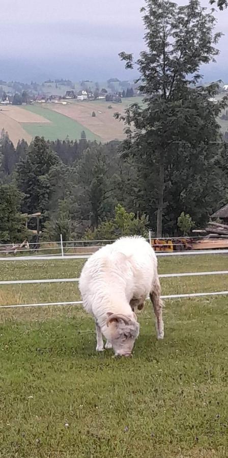 U Szostaka Bańska Exterior foto